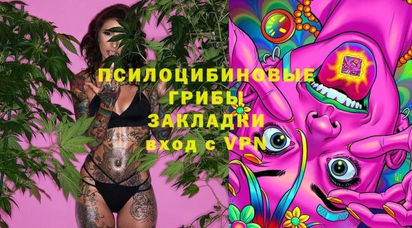 дмт Беломорск